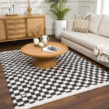 Kieu Black & White Checkered Area Rug - Decor Addict, LLC