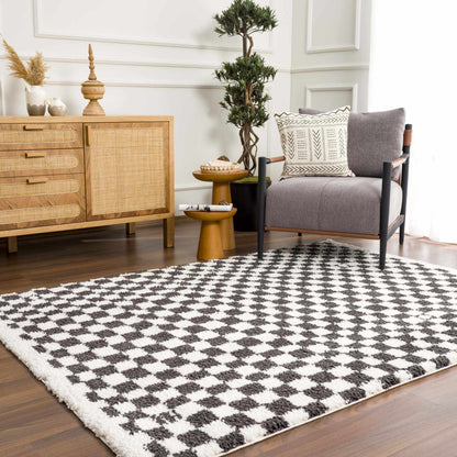 Kieu Black & White Checkered Area Rug - Decor Addict, LLC