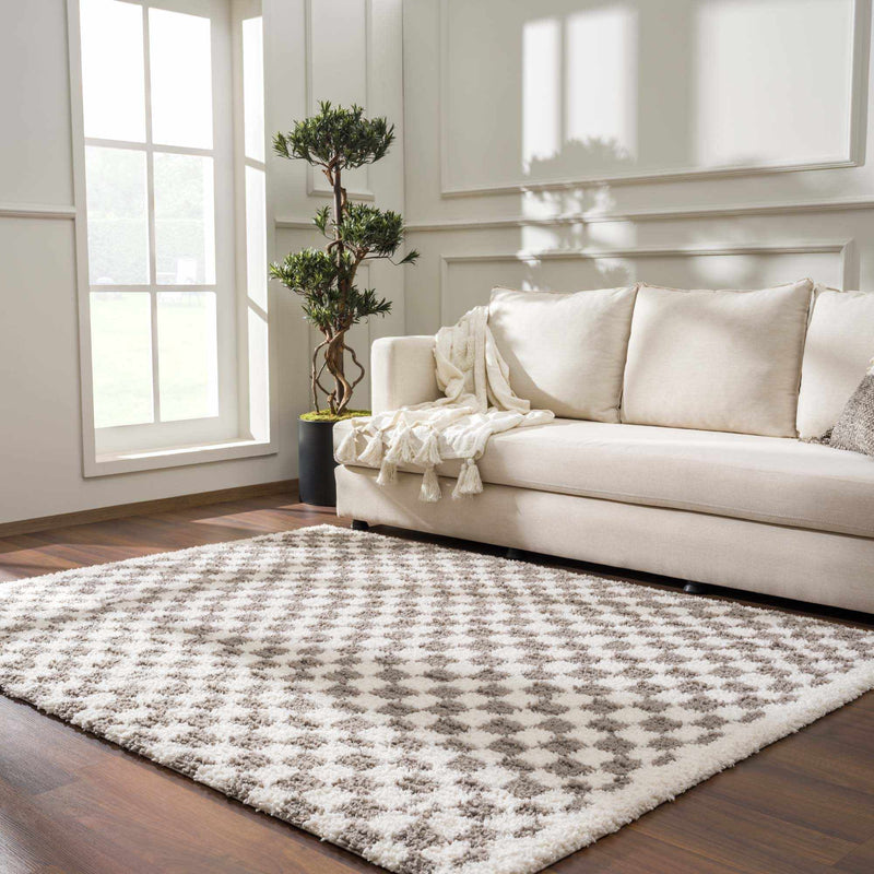 Kieu Taupe Checkered Area Rug - Decor Addict, LLC