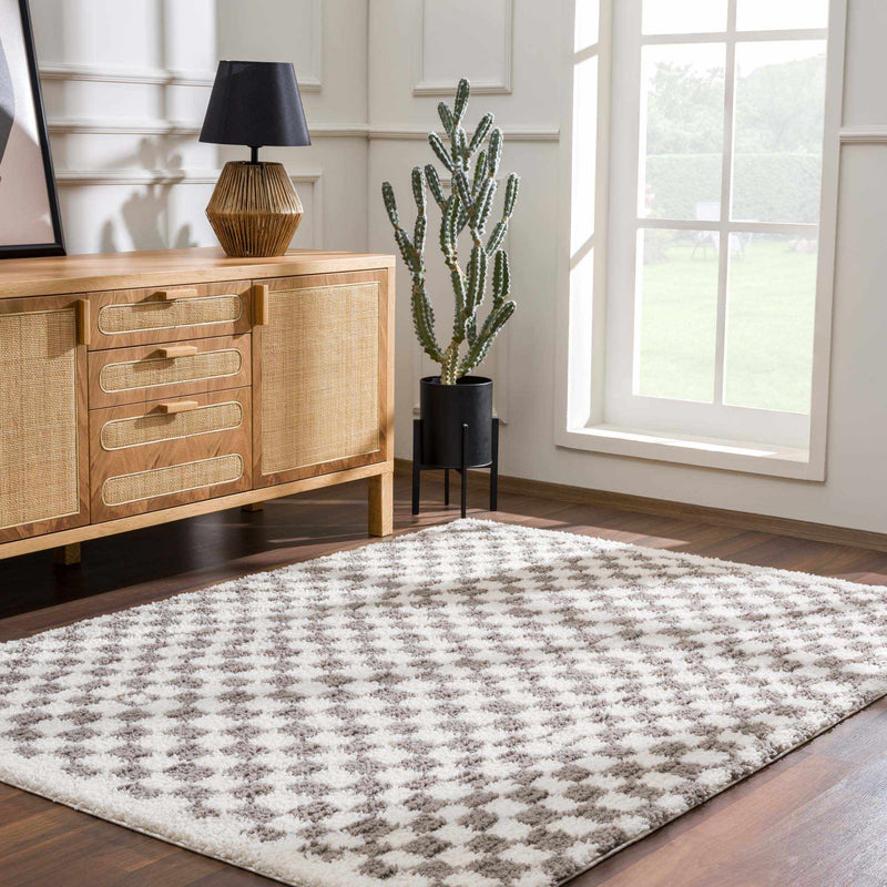 Kieu Taupe Checkered Area Rug - Decor Addict, LLC