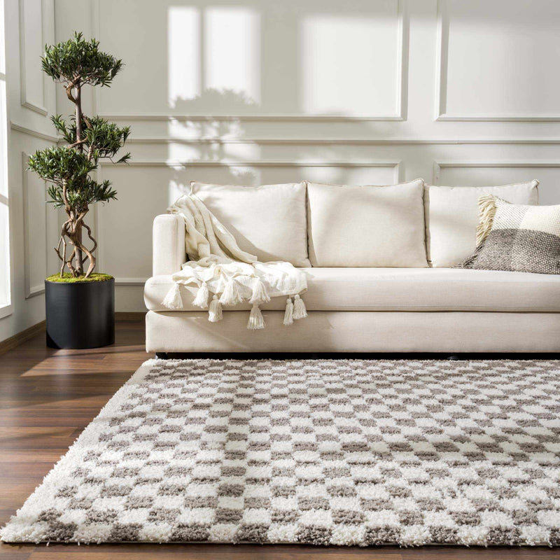 Kieu Taupe Checkered Area Rug - Decor Addict, LLC