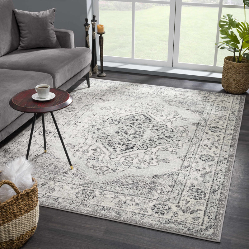 Marash KMRSH-4615 Area Rug - Decor Addict, LLC