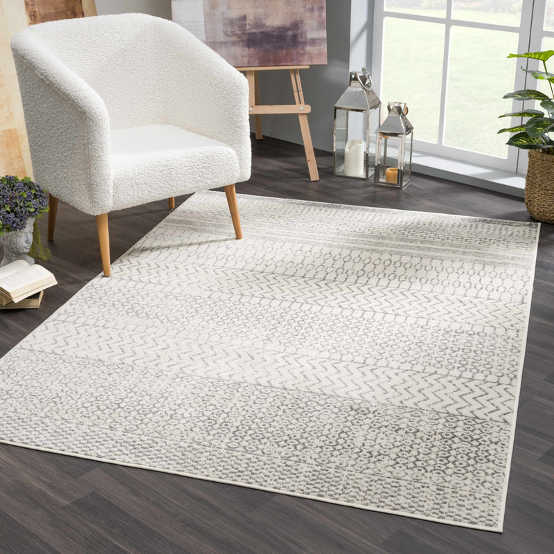 Marash KMRSH-4610 Area Rug - Decor Addict, LLC