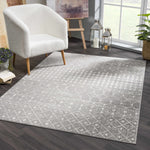 Marash KMRSH-4607 Area Rug - Decor Addict, LLC