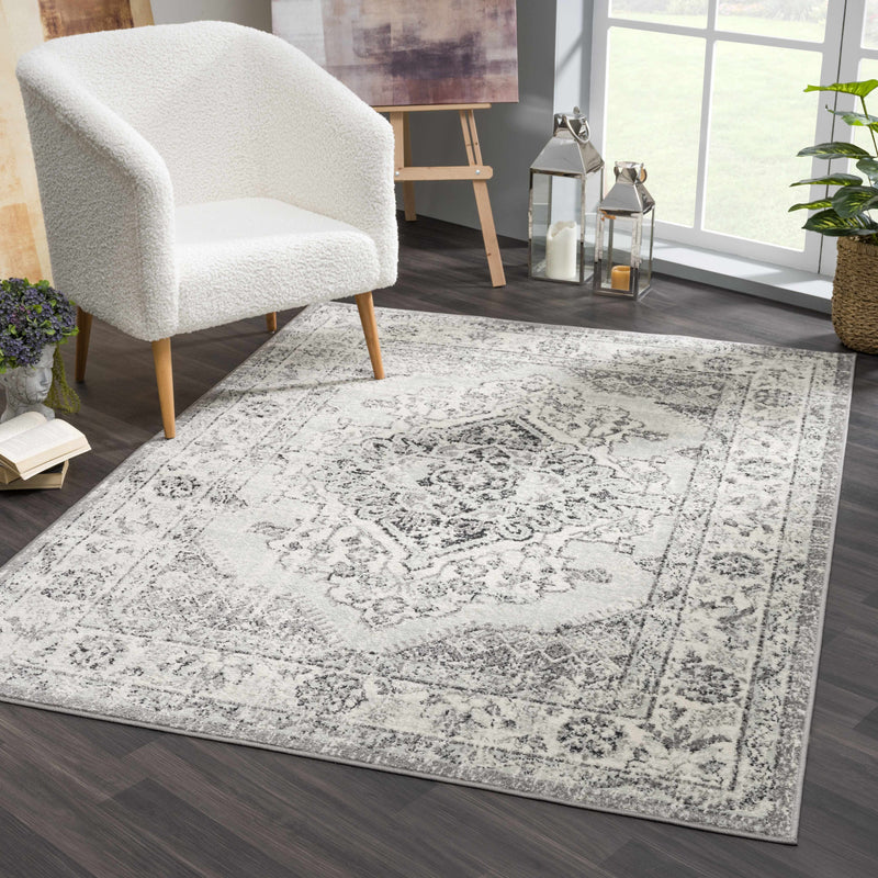 Marash KMRSH-4615 Area Rug - Decor Addict, LLC