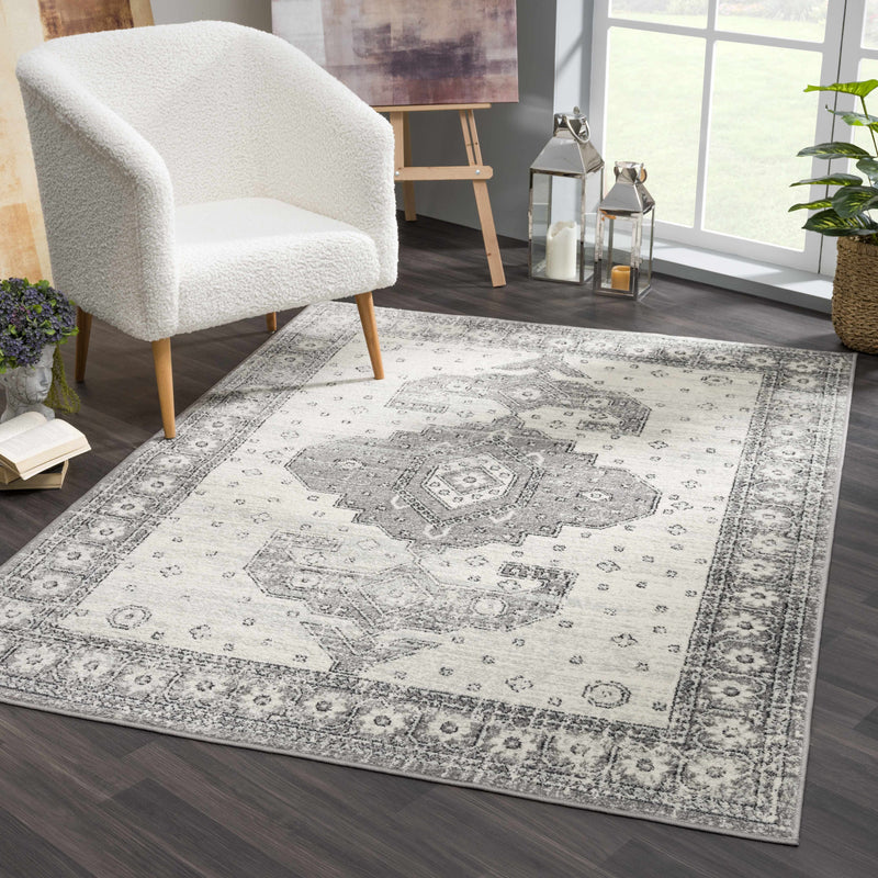 Marash KMRSH-4605 Area Rug - Decor Addict, LLC