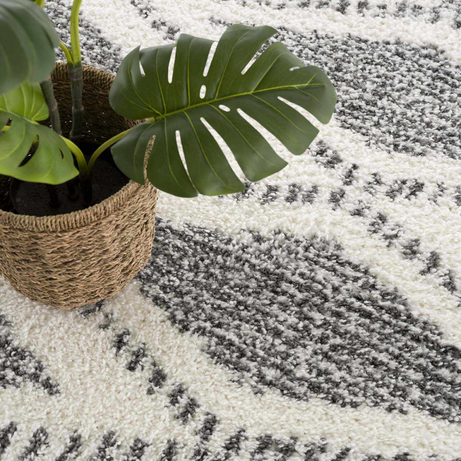 Trunding Plush Area Rug - Decor Addict, LLC