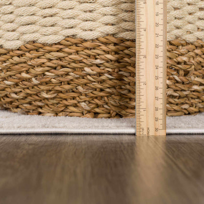 Azzan Cream & Gold Area Rug - Decor Addict, LLC