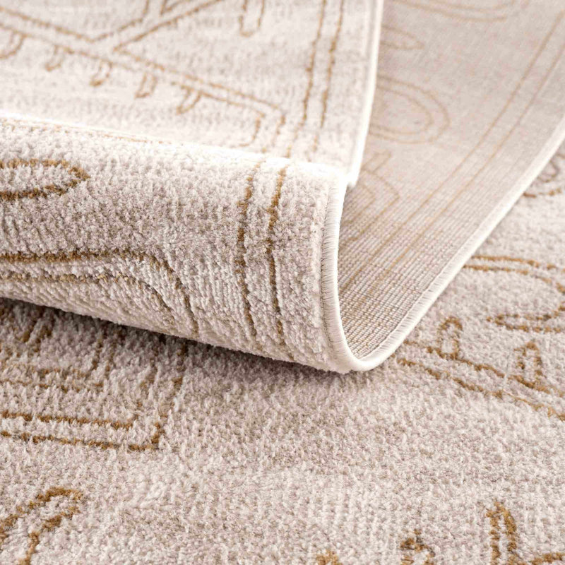 Divya Cream & Gold Area Rug - Decor Addict, LLC