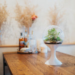 Atomic Space Age Terrarium - Decor Addict, LLC