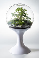 Atomic Space Age Terrarium - Decor Addict, LLC