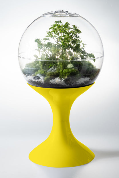 vintage plant terrarium Atomic Space Age Terrarium – Decor Addict, LLC