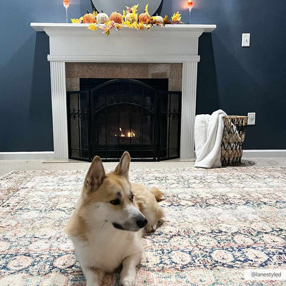 Rust Maligaya Distressed Washable Area Rug - Decor Addict, LLC