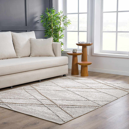 Baqer Bone & Tan Area Rug - Decor Addict, LLC