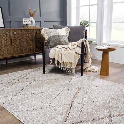 Baqer Bone & Tan Area Rug - Decor Addict, LLC