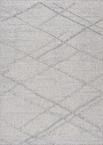 Baqer Taupe & Gray Area Rug - Decor Addict, LLC