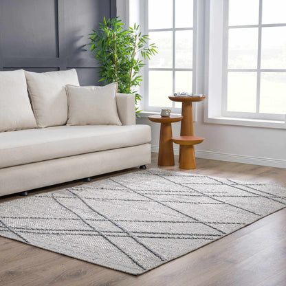Baqer Taupe & Gray Area Rug - Decor Addict, LLC