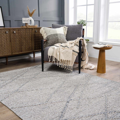 Baqer Taupe & Gray Area Rug - Decor Addict, LLC
