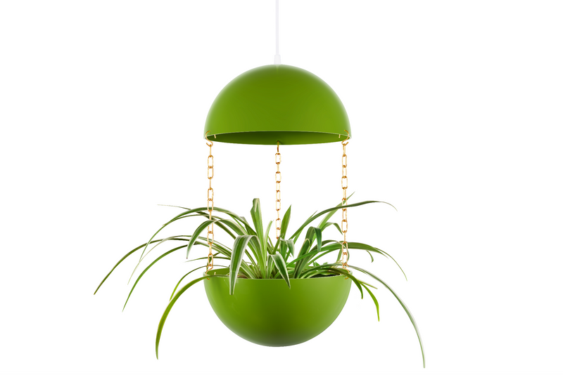 Pendant Planter - Decor Addict, LLC