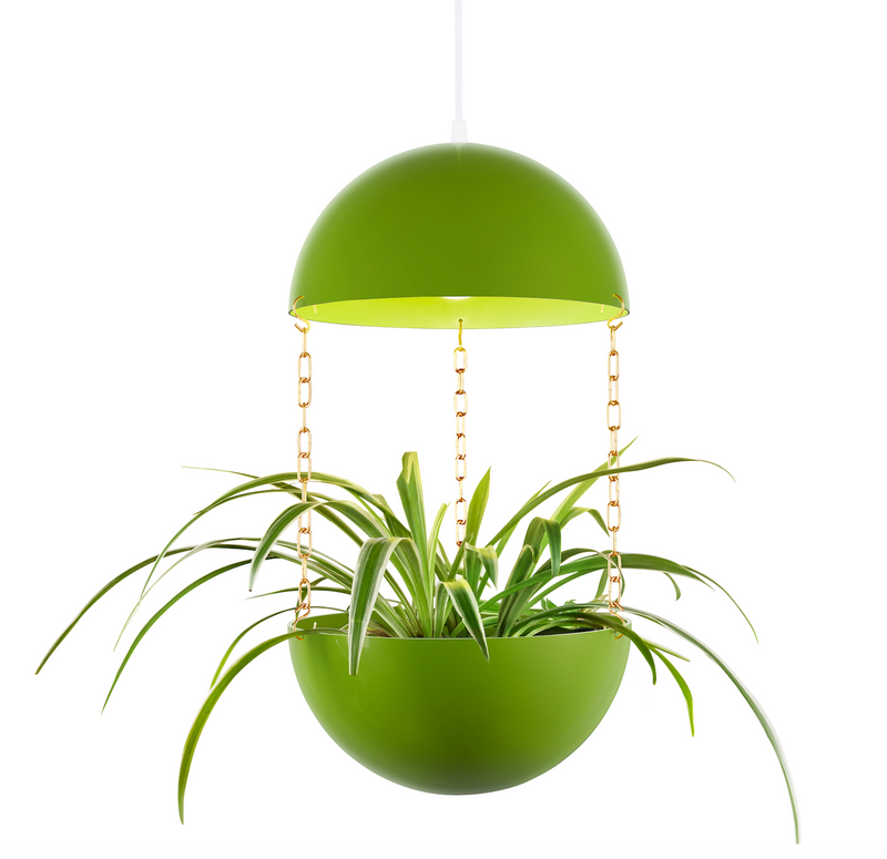 Pendant Planter - Decor Addict, LLC