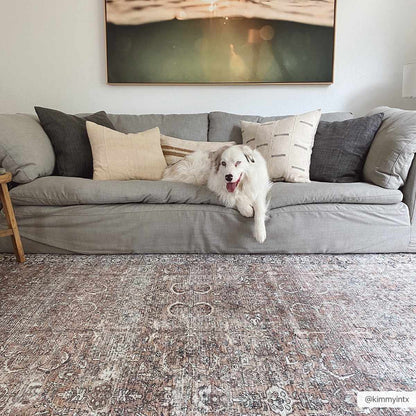 Tan Jill Vintage Washable Area Rug - Decor Addict, LLC