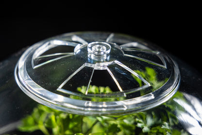 Atomic Space Age Terrarium - Decor Addict, LLC