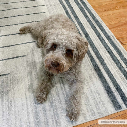 Thad Washable Area Rug - Decor Addict, LLC