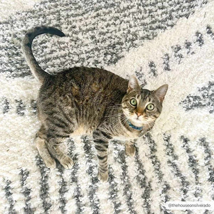 Trunding Plush Area Rug - Decor Addict, LLC