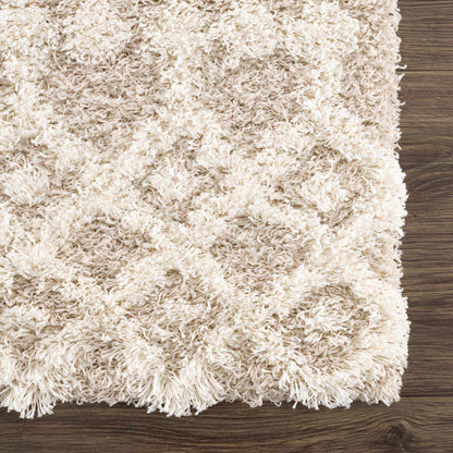 Prompton Cream Plush Area Rug - Decor Addict, LLC