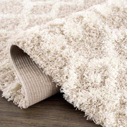 Prompton Cream Plush Area Rug - Decor Addict, LLC