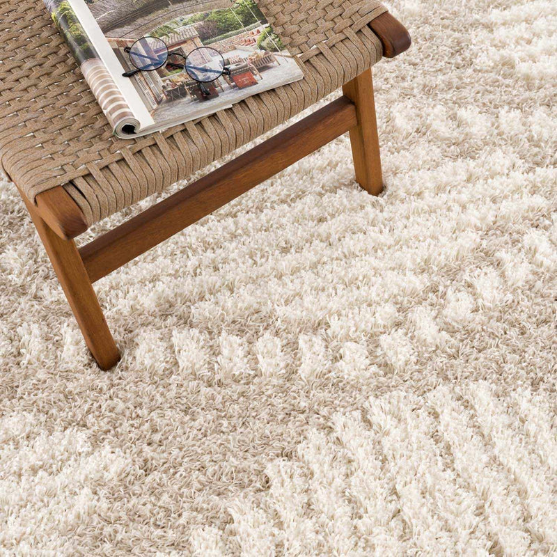 Igor Shag Area Rug - Decor Addict, LLC