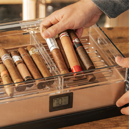 Felix Pro Tupperdor - Acrylic Humidor - Decor Addict, LLC