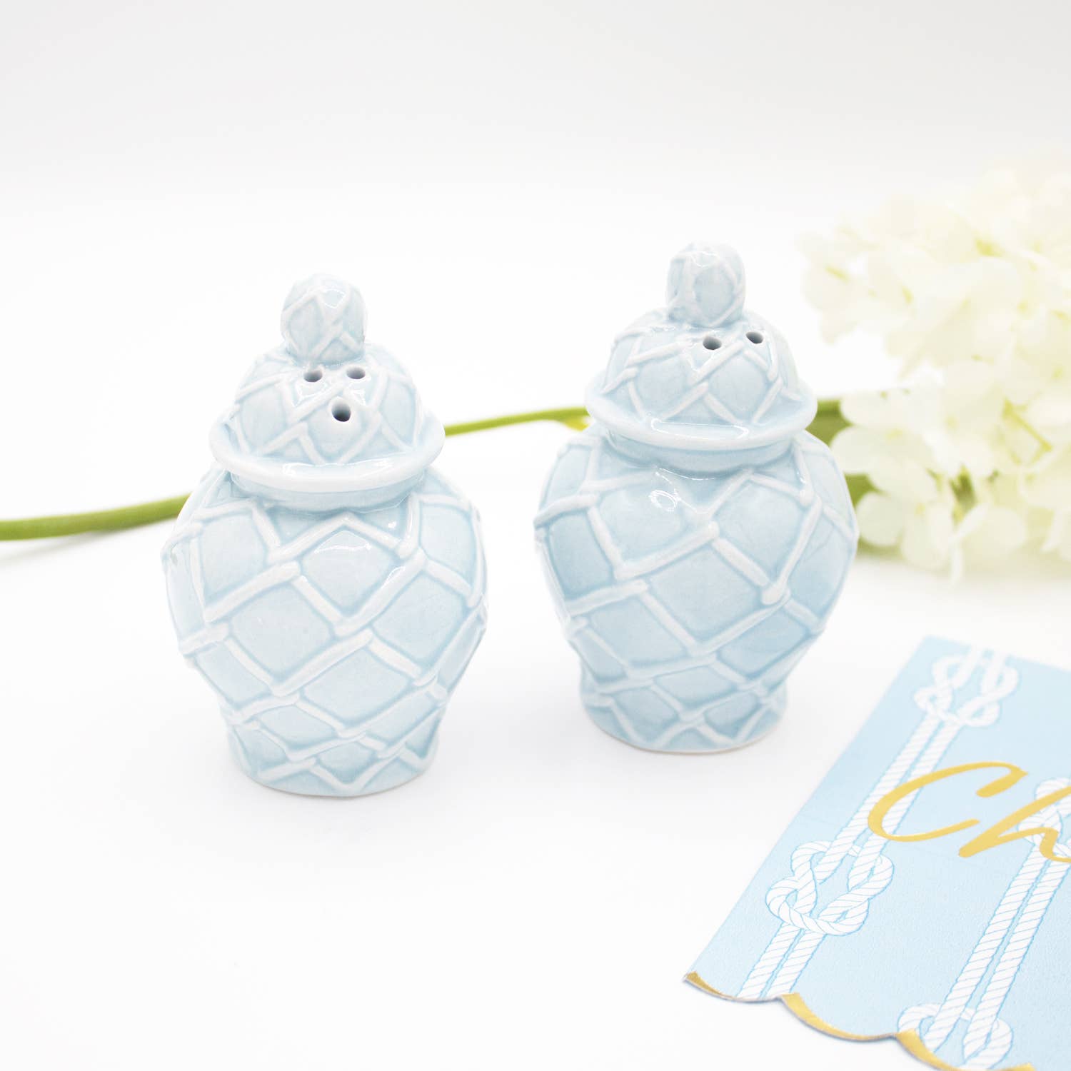Light Blue Textured Jar Salt & Pepper Shaker Boxed Set - Decor Addict, LLC