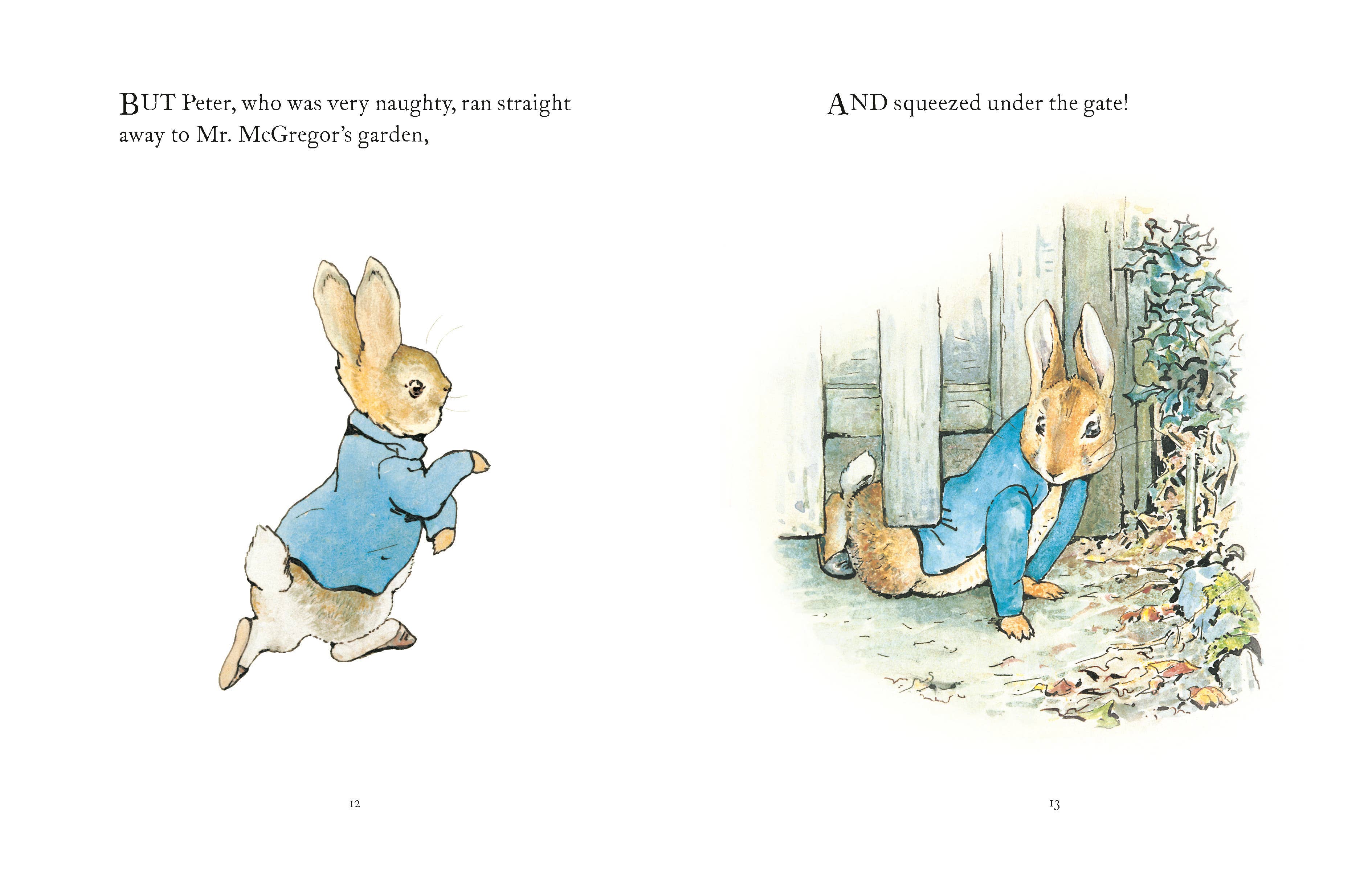 The Tale Of Peter Rabbit - Decor Addict, LLC