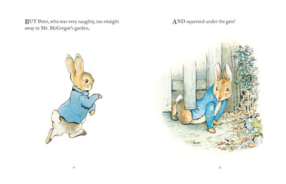 The Tale Of Peter Rabbit - Decor Addict, LLC