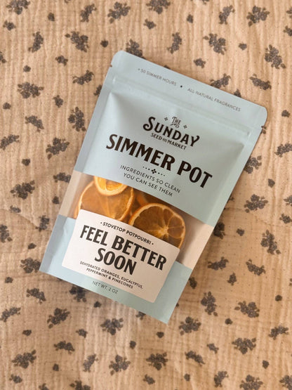 Feel Better Soon Simmer Pot | Orange Peppermint Eucalyptus - Decor Addict, LLC
