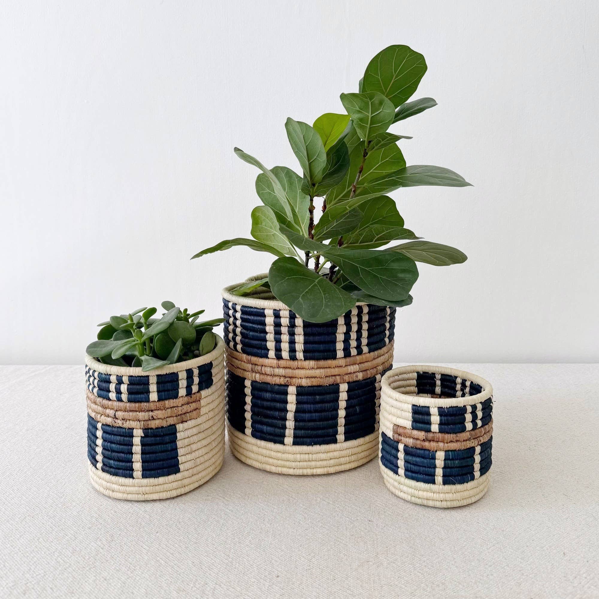 Storage Plant Basket Collection: Bamba