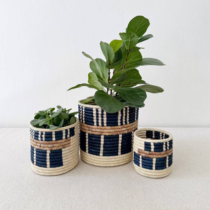 Storage Plant Basket Collection: Bamba