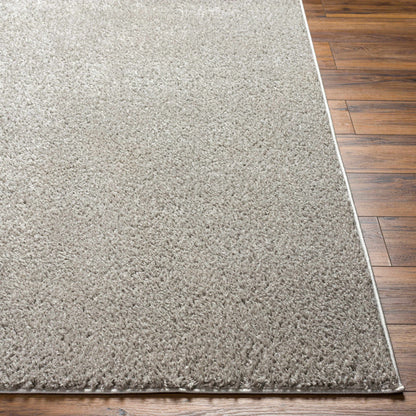 Judy Light Gray Washable Area Rug - Decor Addict, LLC