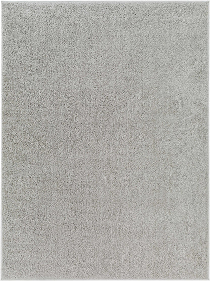 Judy Light Gray Washable Area Rug - Decor Addict, LLC