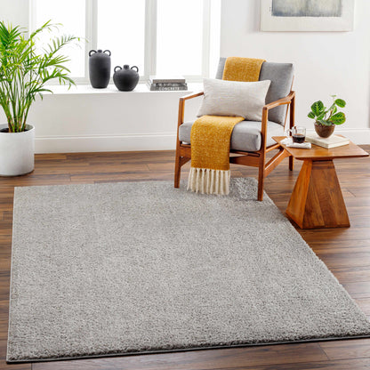 Judy Light Gray Washable Area Rug - Decor Addict, LLC