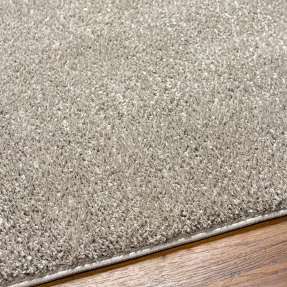Judy Light Gray Washable Area Rug - Decor Addict, LLC
