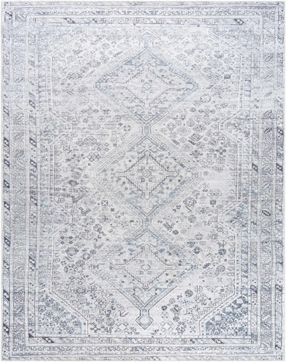 Barny Gray Washable Area Rug - Decor Addict, LLC