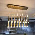 Ankaa Chandelier Light - Decor Addict, LLC