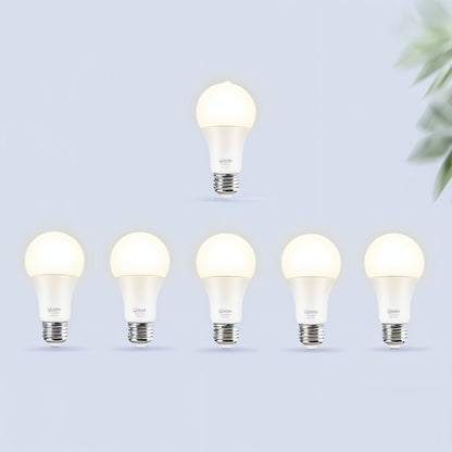 Arinya Ceiling Light - Decor Addict, LLC