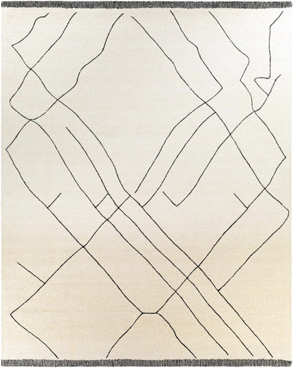 Alaca Wool Area Rug - Decor Addict, LLC