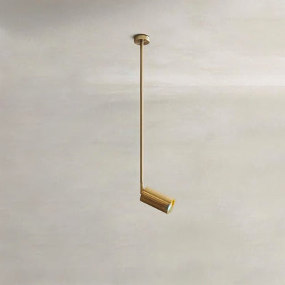 Aurea Ceiling Light - Decor Addict, LLC