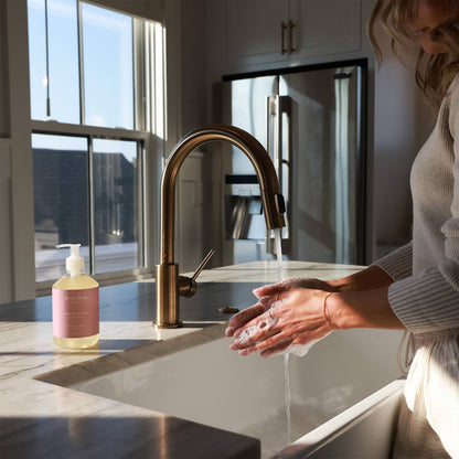 Argan Oil Liquid Hand Wash - Passion Fruit Guava 17.6oz - Decor Addict, LLC