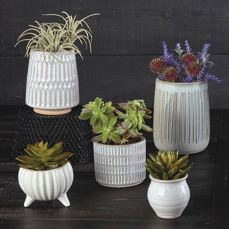 Matt Dot Cream Planter - Decor Addict, LLC