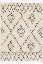 Emlenton Berber Shag Carpet